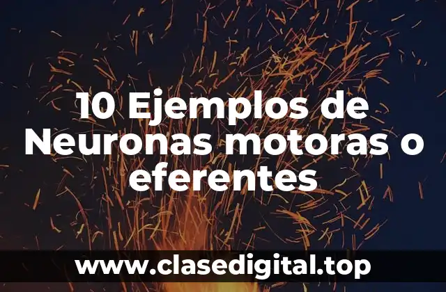 10 Ejemplos de Neuronas motoras o eferentes