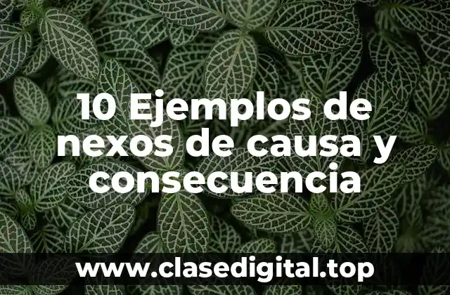 10 Ejemplos de nexos de causa y consecuencia