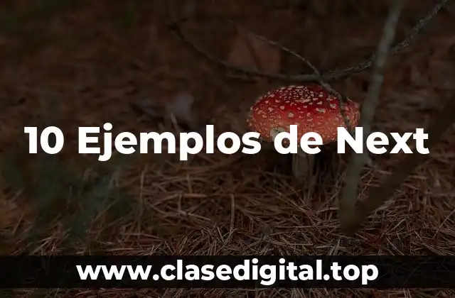 10 Ejemplos de Next