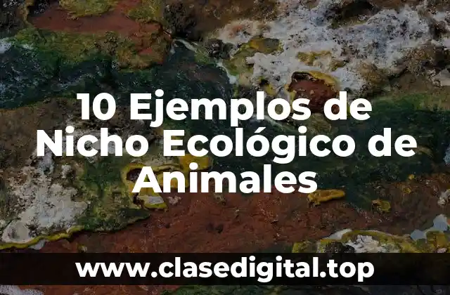 10 Ejemplos de Nicho Ecológico de Animales