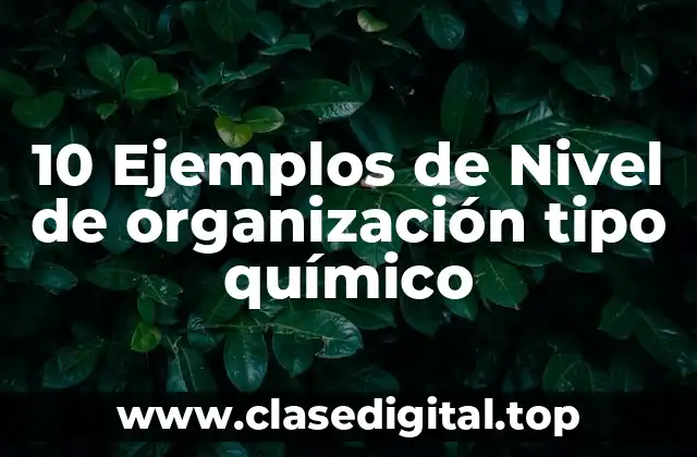 10 Ejemplos de Nivel de organización tipo químico