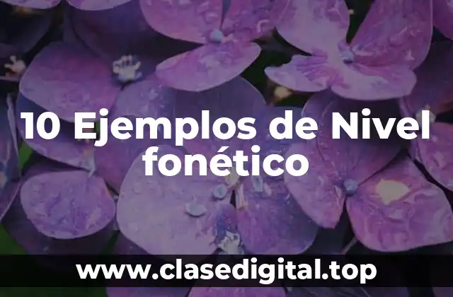 10 Ejemplos de Nivel fonético