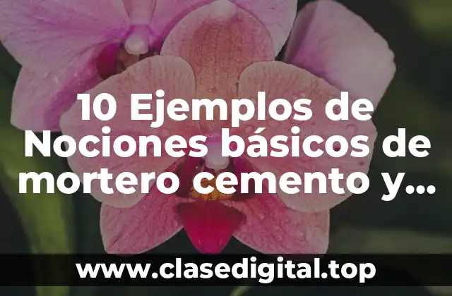 10 Ejemplos de Nociones básicos de mortero cemento y acero