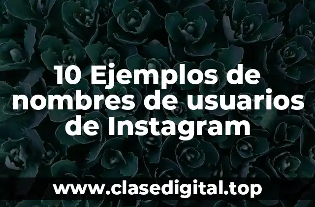 10 Ejemplos de nombres de usuarios de Instagram