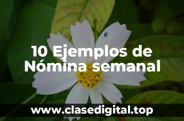 10 Ejemplos de Nómina semanal