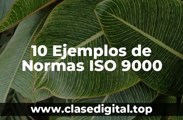 10 Ejemplos de Normas ISO 9000