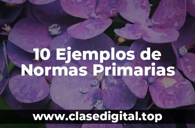 10 Ejemplos de Normas Primarias