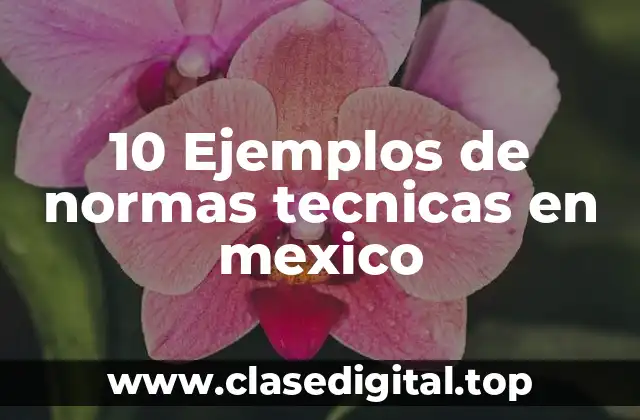 10 Ejemplos de normas tecnicas en mexico