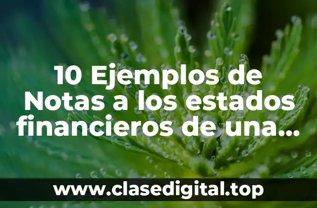 Ejemplos de notas a los estados financieros