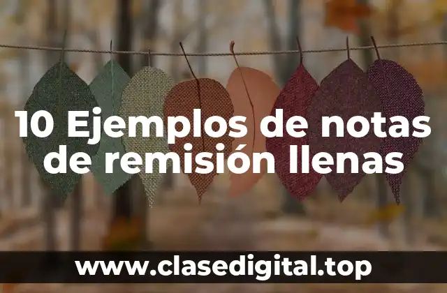 10 Ejemplos de notas de remisión llenas