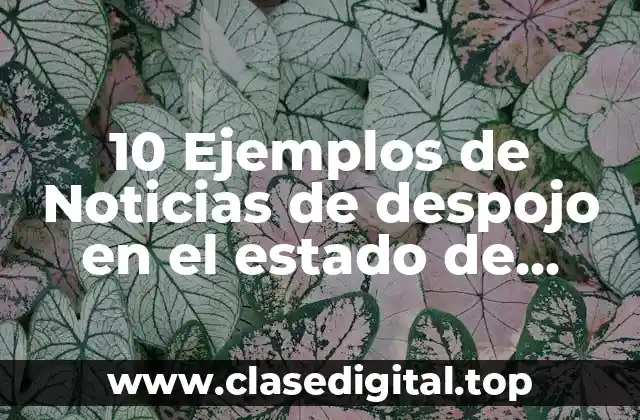 10 Ejemplos de Noticias de despojo en el estado de Hidalgo