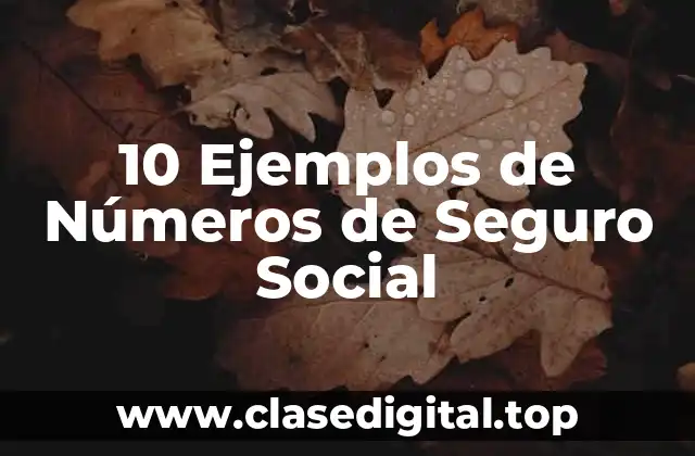 10 Ejemplos de Números de Seguro Social