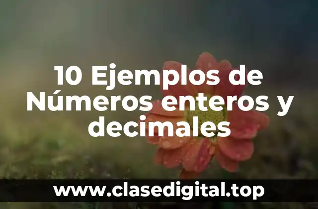 10 Ejemplos de Números enteros y decimales