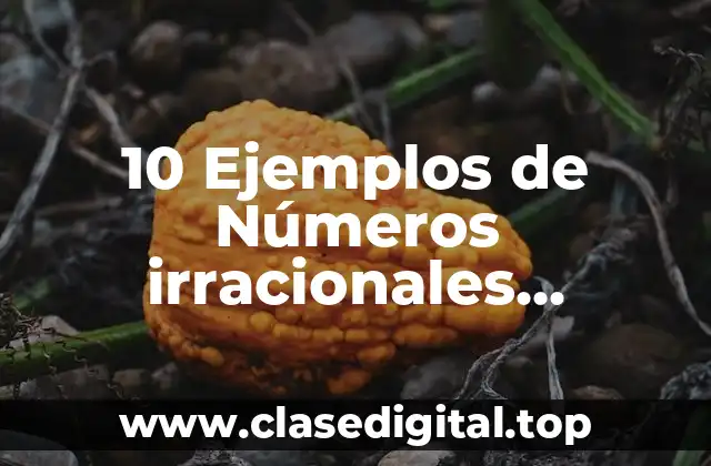 10 Ejemplos de Números irracionales algebraicos