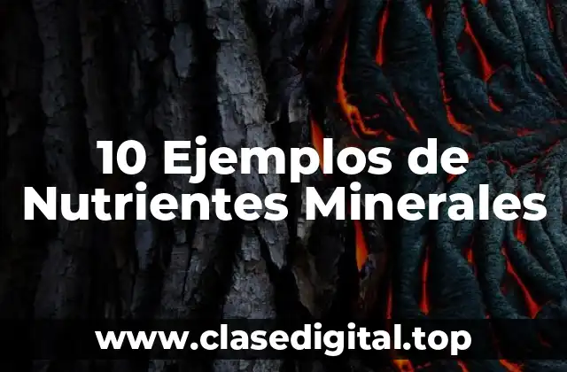10 Ejemplos de Nutrientes Minerales