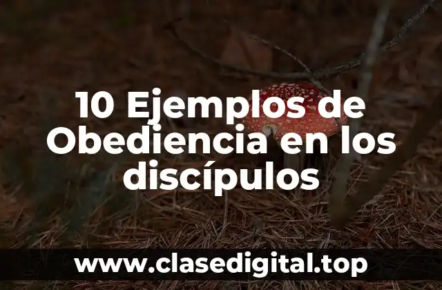 10 Ejemplos de Obediencia en los discípulos