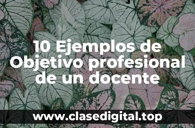 10 Ejemplos de Objetivo profesional de un docente