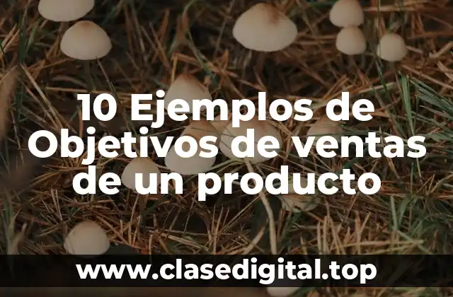 10 Ejemplos de Objetivos de ventas de un producto