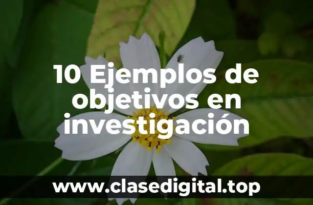 10 Ejemplos de objetivos en investigación