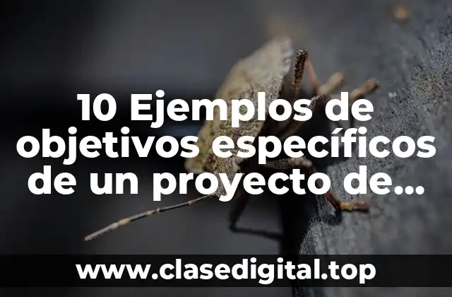 10 Ejemplos de objetivos específicos de un proyecto de investigación aplicada
