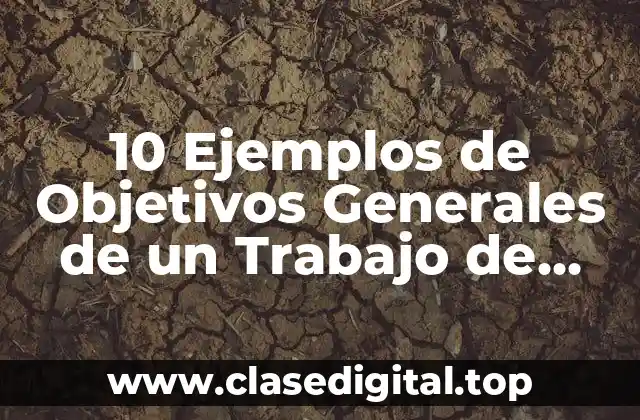 10 Ejemplos de Objetivos Generales de un Trabajo de Investigación