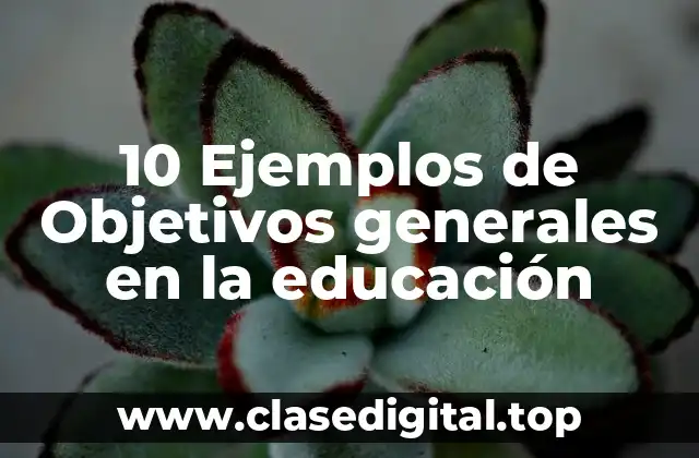 10 Ejemplos de Objetivos generales en la educación