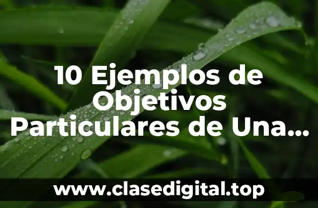 10 Ejemplos de Objetivos Particulares de Una Tesis de Test Psicométricos
