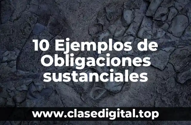 10 Ejemplos de Obligaciones sustanciales