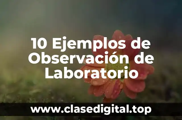 10 Ejemplos de Observación de Laboratorio