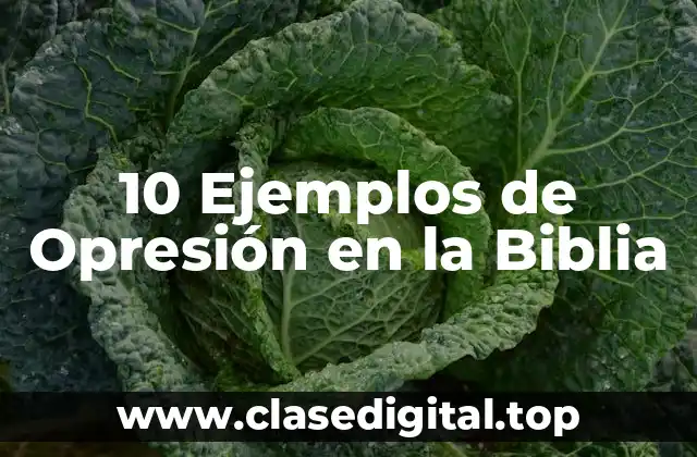 10 Ejemplos de Opresión en la Biblia