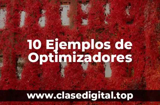 10 Ejemplos de Optimizadores