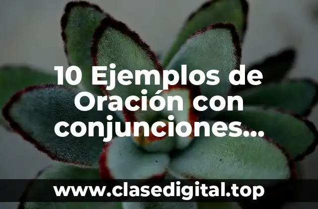 10 Ejemplos de Oración con conjunciones copulativas
