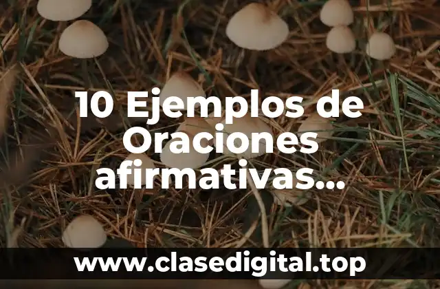10 Ejemplos de Oraciones afirmativas, negativas e interrogativas en inglés