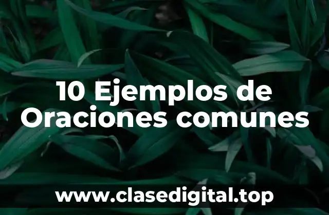 10 Ejemplos de Oraciones comunes