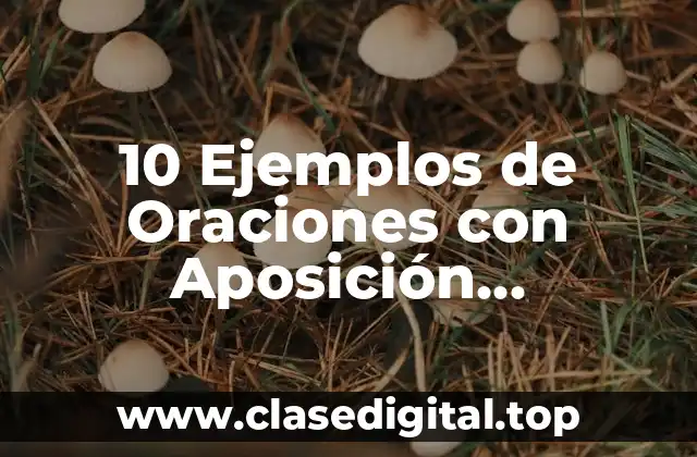 10 Ejemplos de Oraciones con Aposición Explicativa y Especificativa