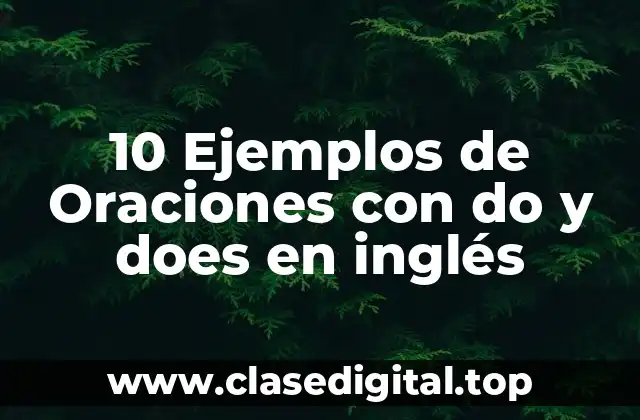 Ejemplos de oraciones con do y does en inglés