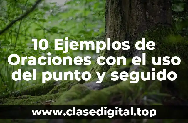 10 Ejemplos de Oraciones con el uso del punto y seguido