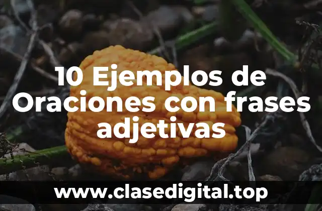 10 Ejemplos de Oraciones con frases adjetivas