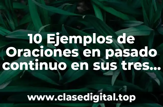 10 Ejemplos de Oraciones en pasado continuo en sus tres formas