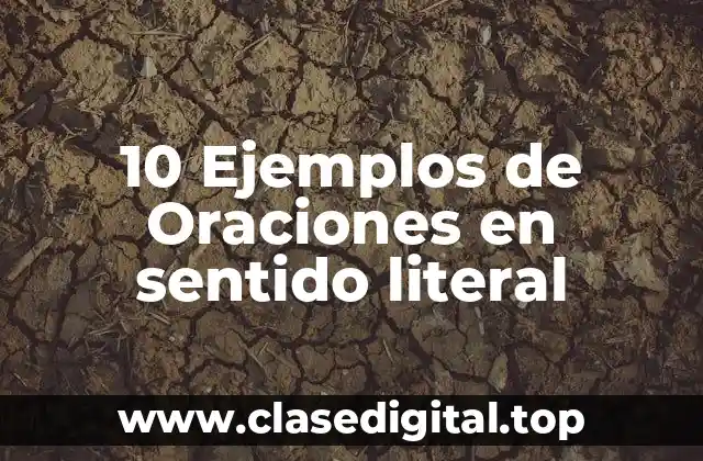10 Ejemplos de Oraciones en sentido literal