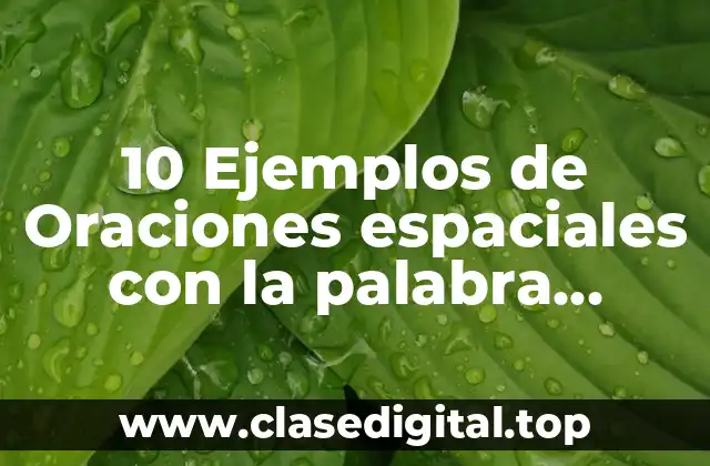 10 Ejemplos de Oraciones espaciales con la palabra delante de