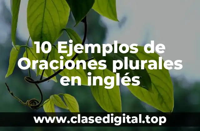 10 Ejemplos de Oraciones plurales en inglés