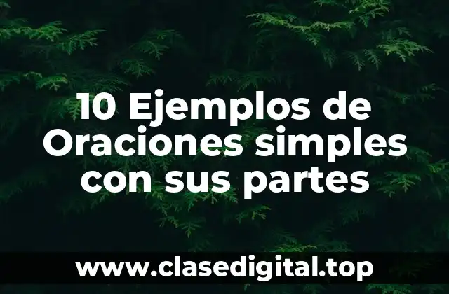 10 Ejemplos de Oraciones simples con sus partes