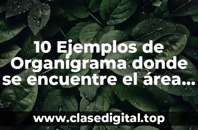 10 Ejemplos de Organigrama donde se encuentre el área de marketing