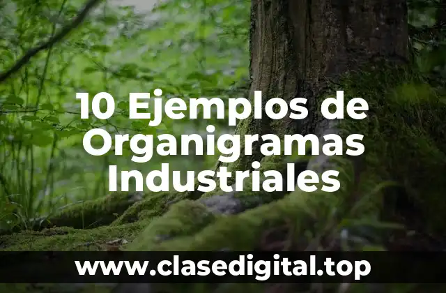 10 Ejemplos de Organigramas Industriales