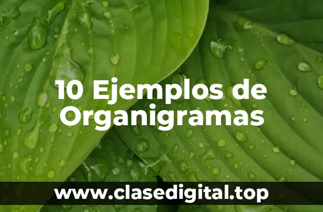 10 Ejemplos de Organigramas