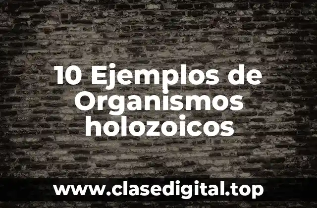 10 Ejemplos de Organismos holozoicos