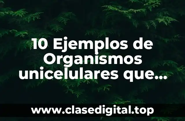 10 Ejemplos de Organismos unicelulares que viven en el cuerpo humano