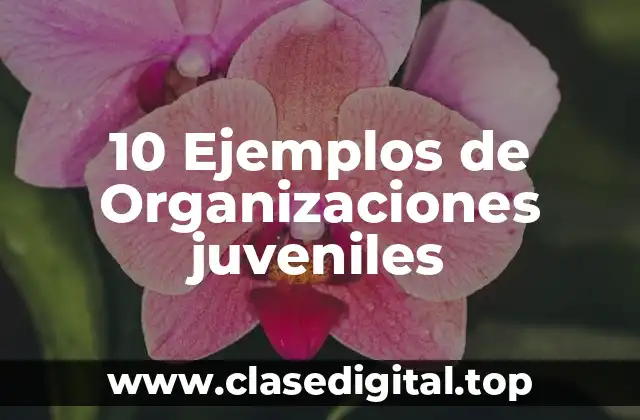10 Ejemplos de Organizaciones juveniles