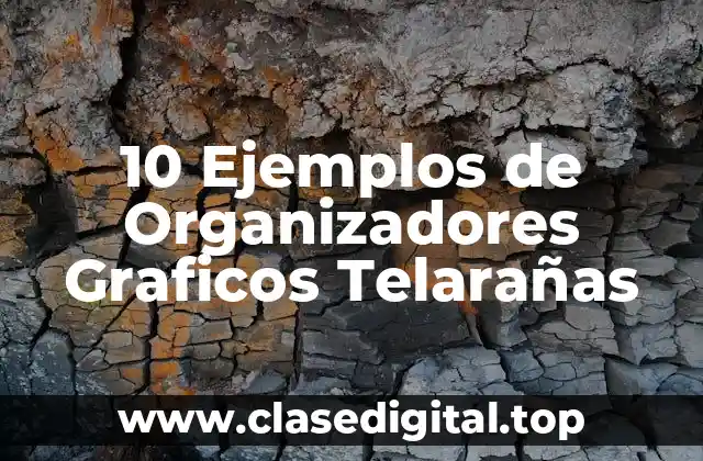 10 Ejemplos de Organizadores Graficos Telarañas